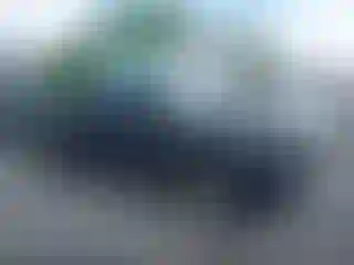 Vehicle Image- 2006 Toyota Tacoma