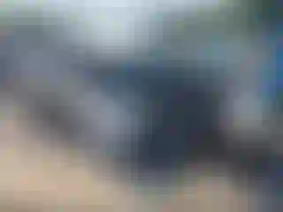 Vehicle Image- 2007 Toyota Tacoma