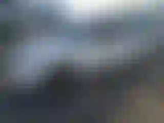 Vehicle Image- 2008 Toyota Tacoma