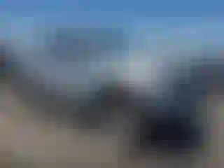 Vehicle Image- 2009 Toyota Tacoma