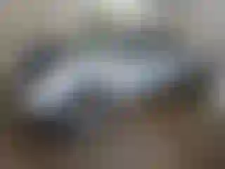 Vehicle Image- 2007 Toyota Tacoma