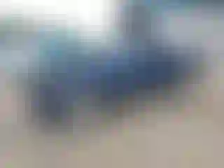 Vehicle Image- 2006 Toyota Tacoma