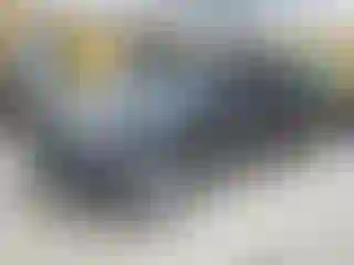 Vehicle Image- 2009 Toyota Tacoma