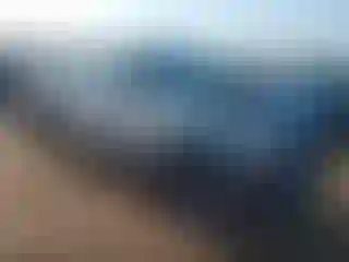 Vehicle Image- 2014 Toyota Tacoma
