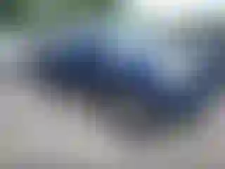 Vehicle Image- 2014 Toyota Tacoma