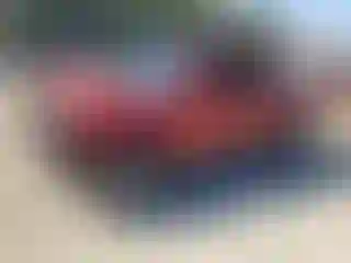 Vehicle Image- 2010 Toyota Tacoma