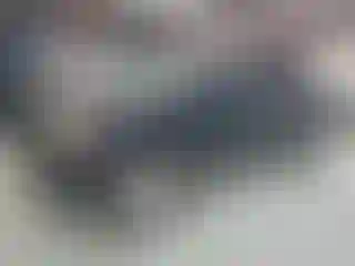 Vehicle Image- 2011 Toyota Tacoma