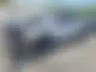 Vehicle Image- 2011 Toyota Tacoma