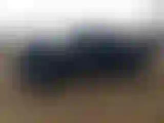 Vehicle Image- 2013 Toyota Tacoma