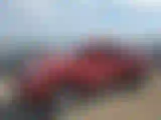 Vehicle Image- 2013 Toyota Tacoma