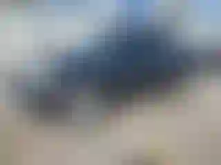 Vehicle Image- 2014 Toyota Tacoma
