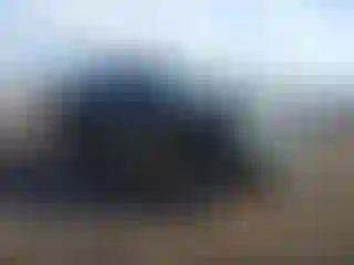 Vehicle Image- 2014 Toyota Tacoma