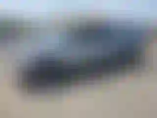 Vehicle Image- 2011 Toyota Tacoma