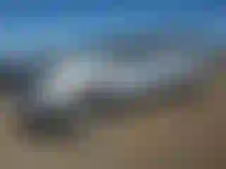 Vehicle Image- 2011 Toyota Tacoma
