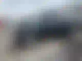 Vehicle Image- 2013 Toyota Tacoma