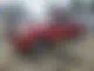 Vehicle Image- 2009 Toyota Tacoma