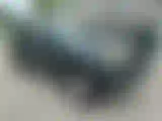 Vehicle Image- 2009 Toyota Tacoma