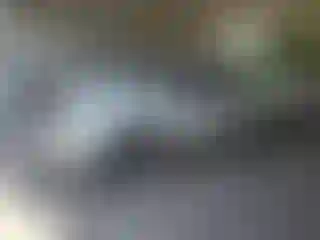 Vehicle Image- 2005 Toyota Tacoma