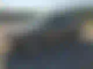 Vehicle Image- 2009 Toyota Tacoma