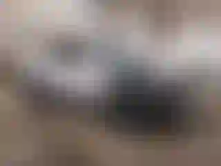 Vehicle Image- 2023 Toyota Tacoma