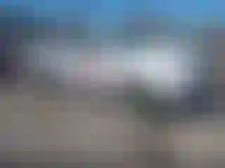 Vehicle Image- 2023 Toyota Tacoma