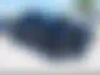 Vehicle Image- 2022 Toyota Tacoma