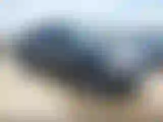 Vehicle Image- 2022 Toyota Tacoma