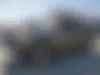 Vehicle Image- 2021 Toyota Tacoma