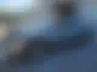 Vehicle Image- 2023 Toyota Tacoma