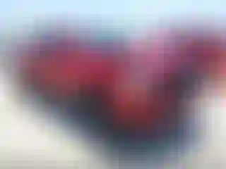 Vehicle Image- 2022 Toyota Tacoma