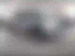 Vehicle Image- 2021 Toyota Tacoma