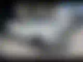 Vehicle Image- 2021 Toyota Tacoma