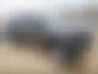 Vehicle Image- 2022 Toyota Tacoma