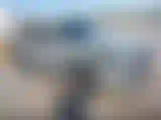 Vehicle Image- 2023 Toyota Tacoma