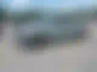 Vehicle Image- 2023 Toyota Tacoma