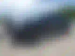 Vehicle Image- 2023 Toyota Tacoma