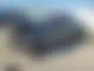 Vehicle Image- 2023 Toyota Tacoma