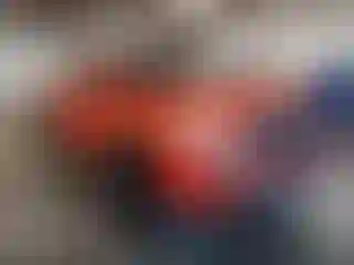 Vehicle Image- 2023 Toyota Tacoma