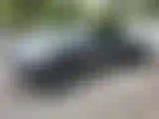 Vehicle Image- 2022 Toyota Tacoma