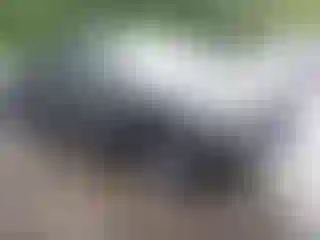 Vehicle Image- 2023 Toyota Tacoma