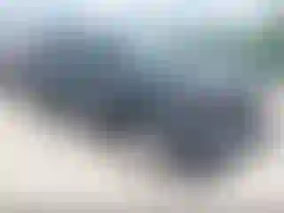 Vehicle Image- 2024 Toyota Tacoma