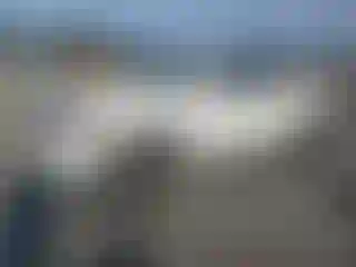 Vehicle Image- 2024 Toyota Tacoma