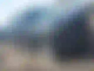Vehicle Image- 2024 Toyota Tacoma