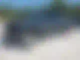 Vehicle Image- 2024 Toyota Tacoma