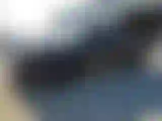 Vehicle Image- 2024 Toyota Tacoma