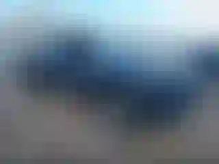 Vehicle Image- 2024 Toyota Tacoma