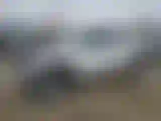 Vehicle Image- 2024 Toyota Tacoma