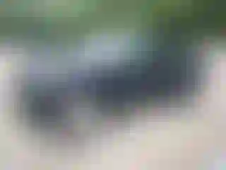 Vehicle Image- 2024 Toyota Tacoma