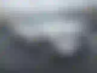 Vehicle Image- 2024 Toyota Tacoma