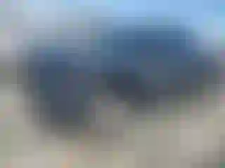 Vehicle Image- 2024 Toyota Tacoma